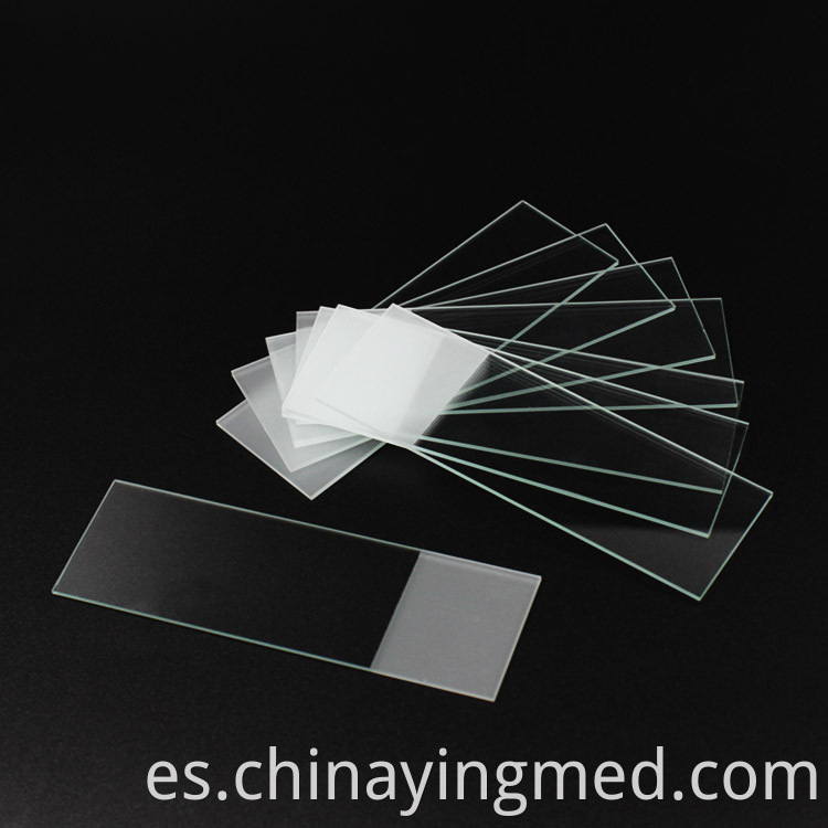 Microscope Slides 7105 1